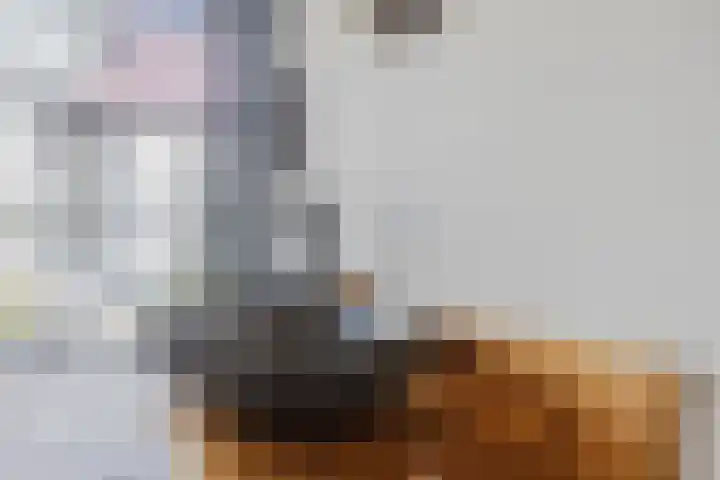 De Vos van Steenwijklaan 13 Hoogeveen thumbnail 68