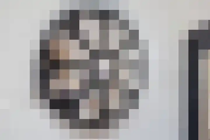 De Vos van Steenwijklaan 13 Hoogeveen thumbnail 69