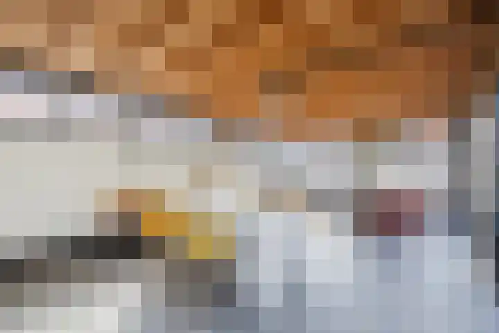 De Vos van Steenwijklaan 13 Hoogeveen thumbnail 71