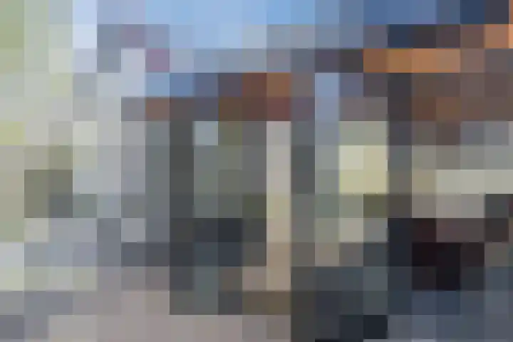 De Vos van Steenwijklaan 13 Hoogeveen thumbnail 77