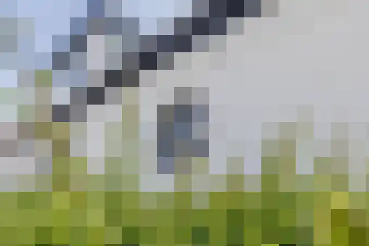 De Vos van Steenwijklaan 13 Hoogeveen thumbnail 83