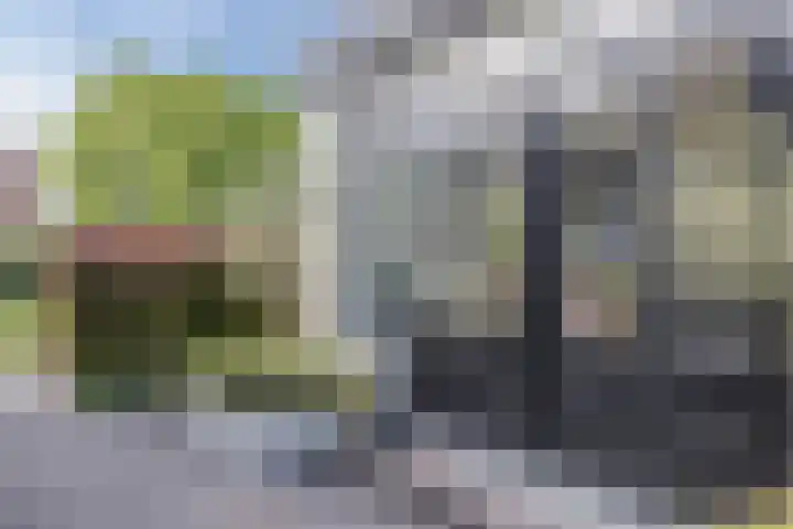 De Vos van Steenwijklaan 13 Hoogeveen thumbnail 86
