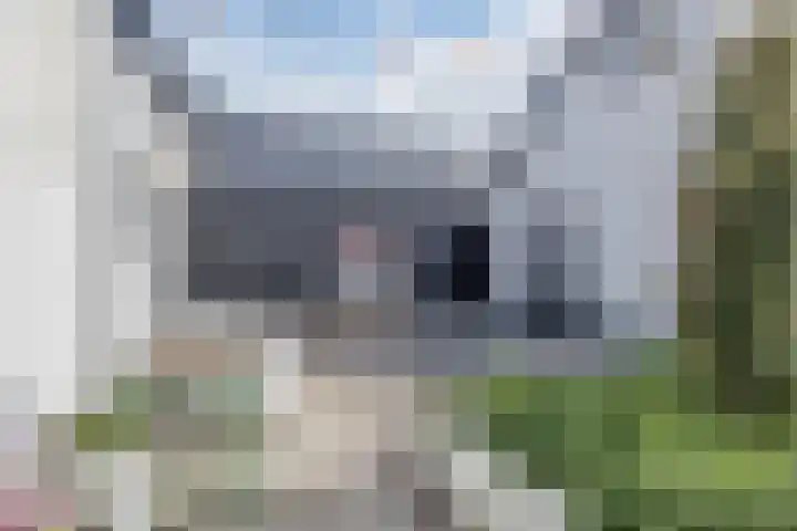 De Vos van Steenwijklaan 13 Hoogeveen thumbnail 87