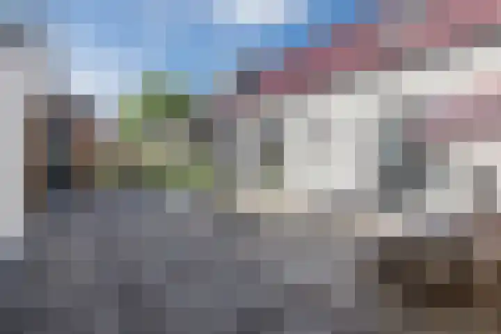 De Vos van Steenwijklaan 13 Hoogeveen thumbnail 89