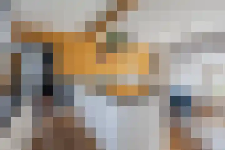De Vos van Steenwijklaan 13 Hoogeveen thumbnail 9
