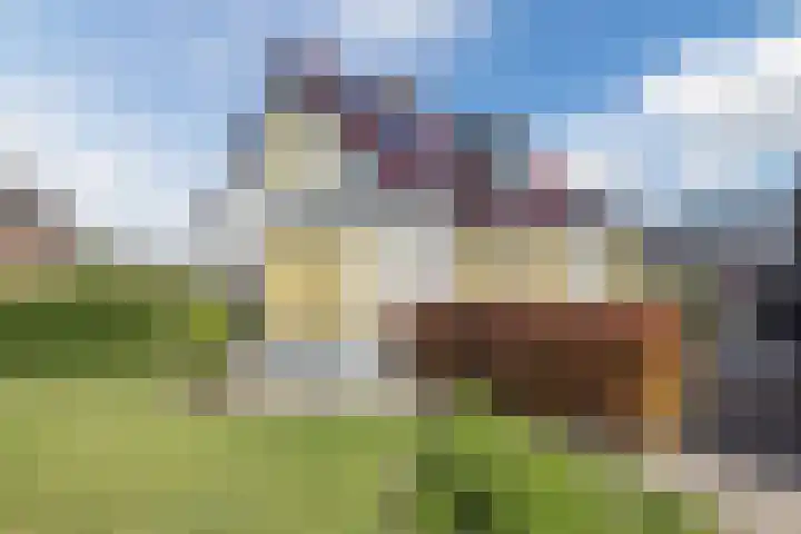 De Vos van Steenwijklaan 13 Hoogeveen thumbnail 91