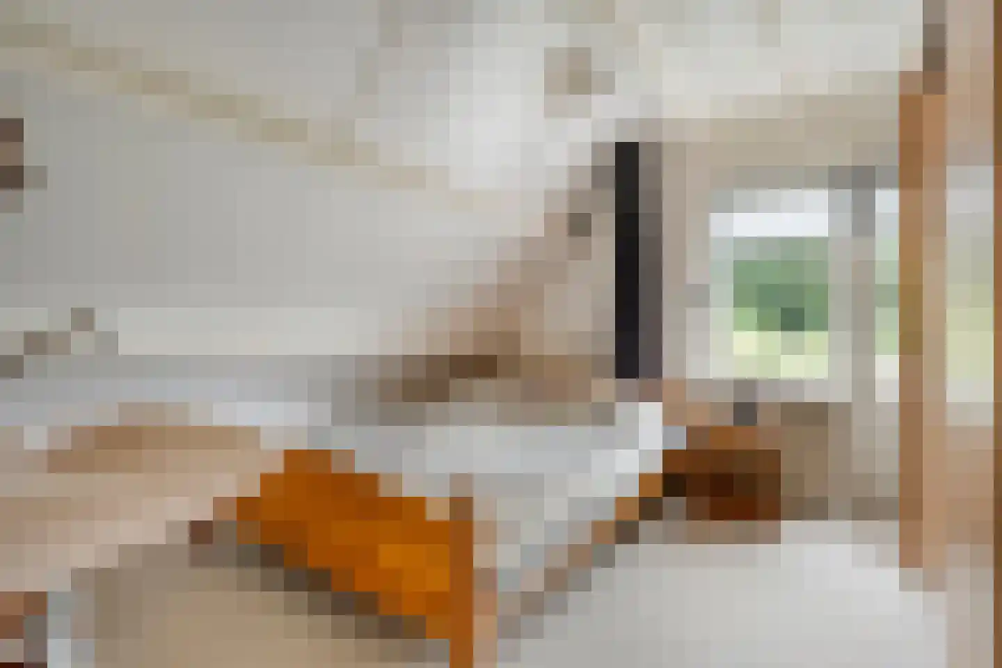 De Vos van Steenwijklaan 58 a Hoogeveen thumbnail 25