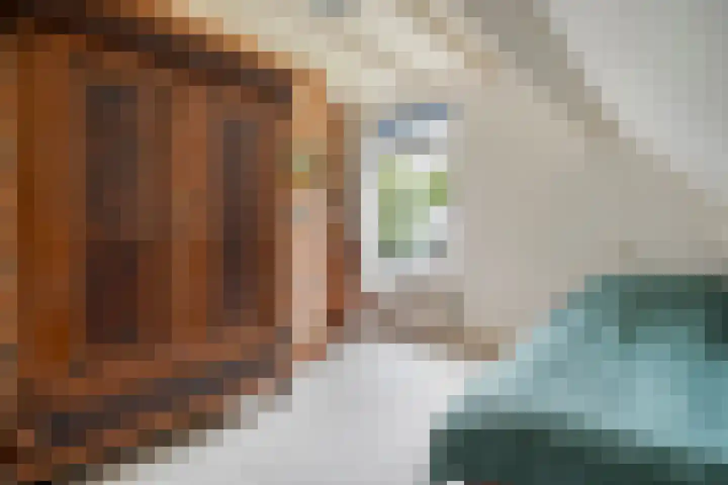 De Vos van Steenwijklaan 58 a Hoogeveen thumbnail 28