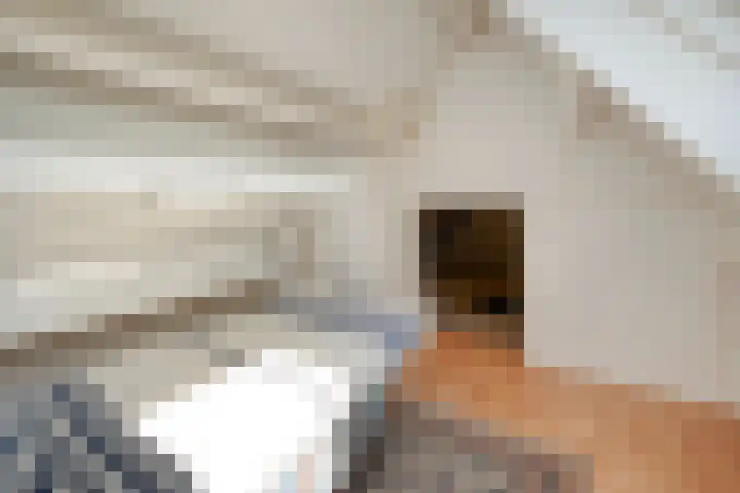 De Vos van Steenwijklaan 58 a Hoogeveen thumbnail 36