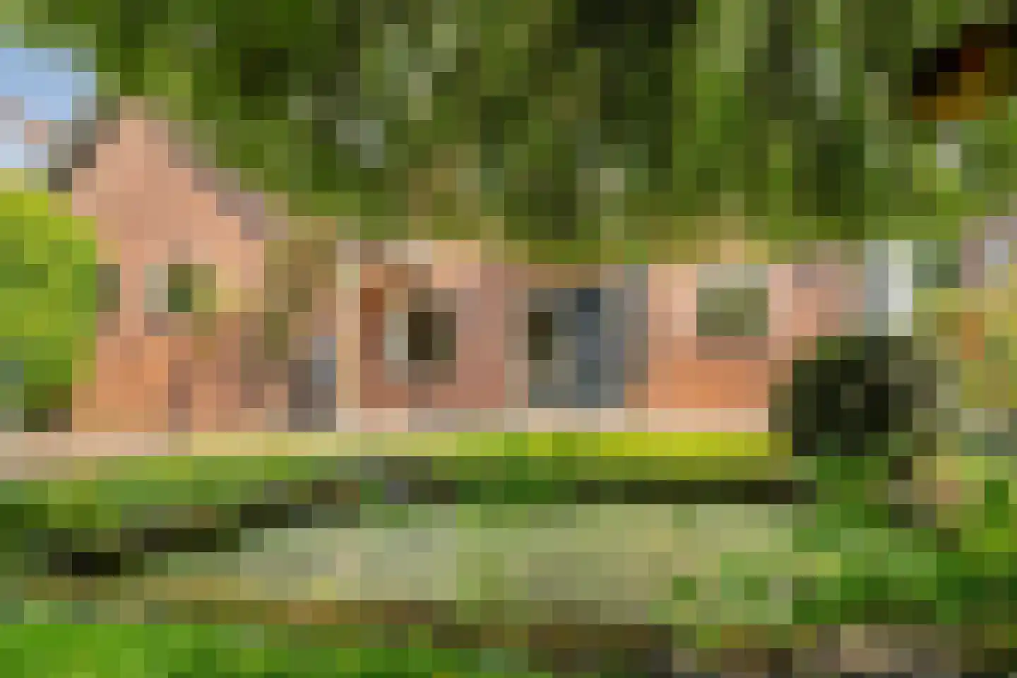 De Vos van Steenwijklaan 58 a Hoogeveen thumbnail 43