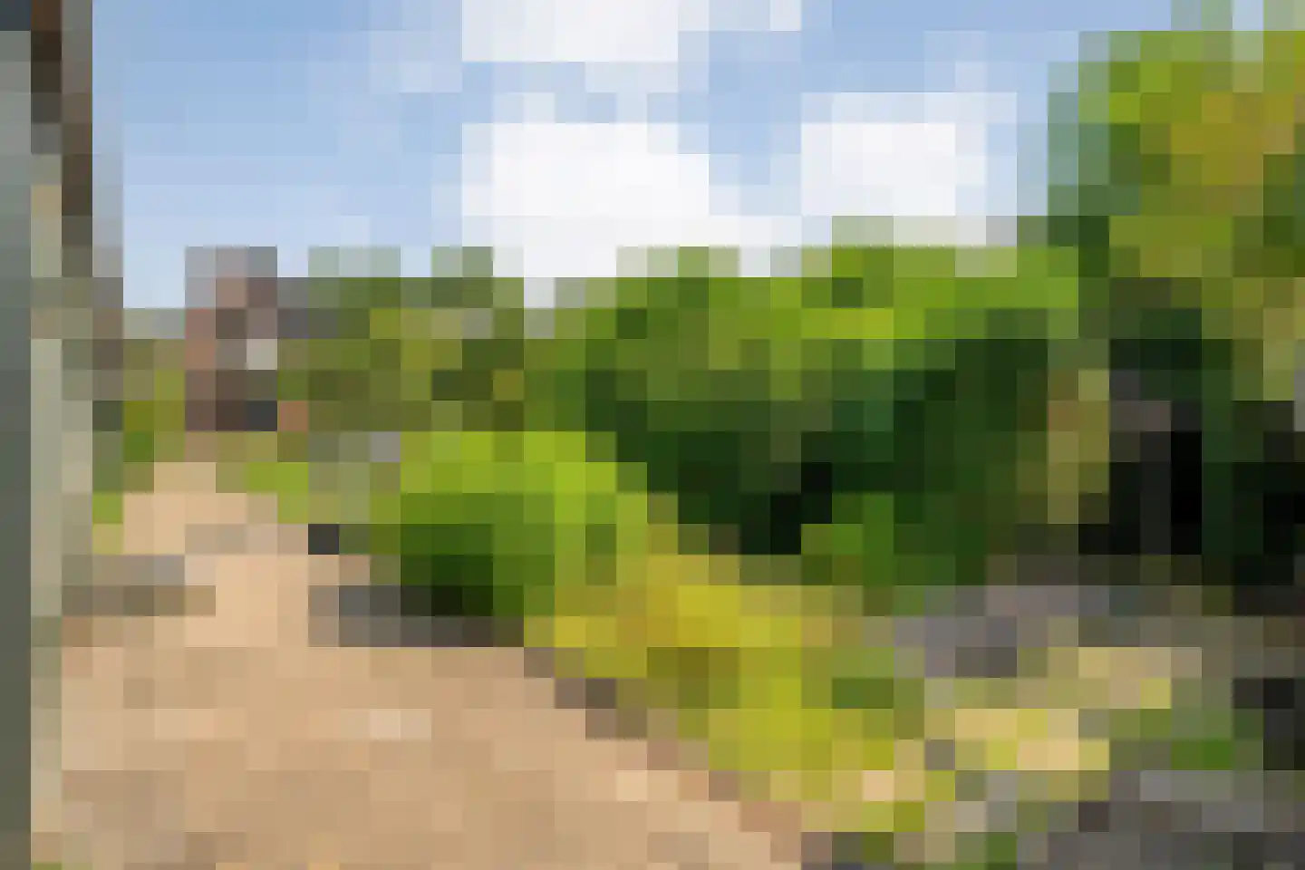 De Vos van Steenwijklaan 58 a Hoogeveen thumbnail 46