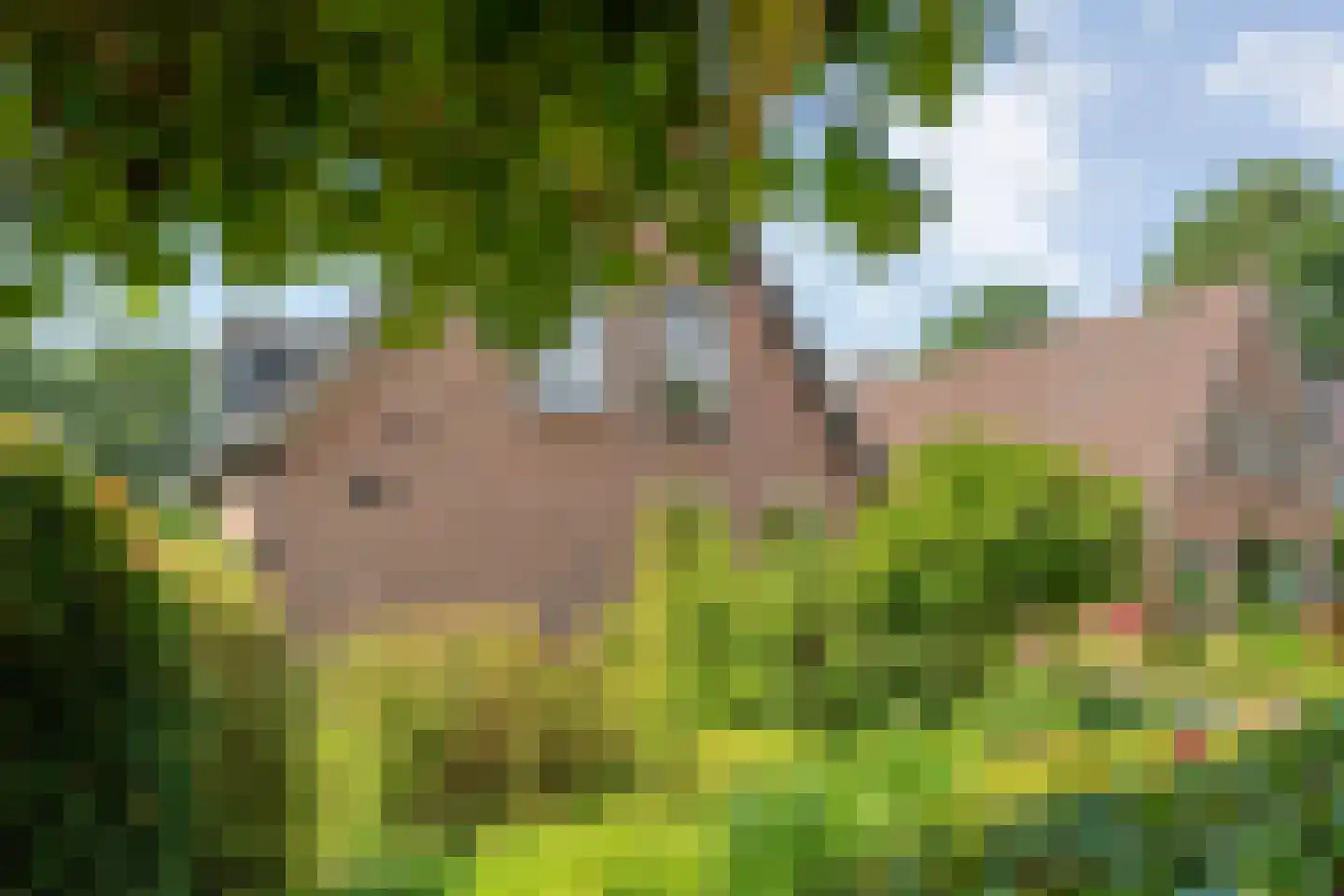 De Vos van Steenwijklaan 58 a Hoogeveen thumbnail 51