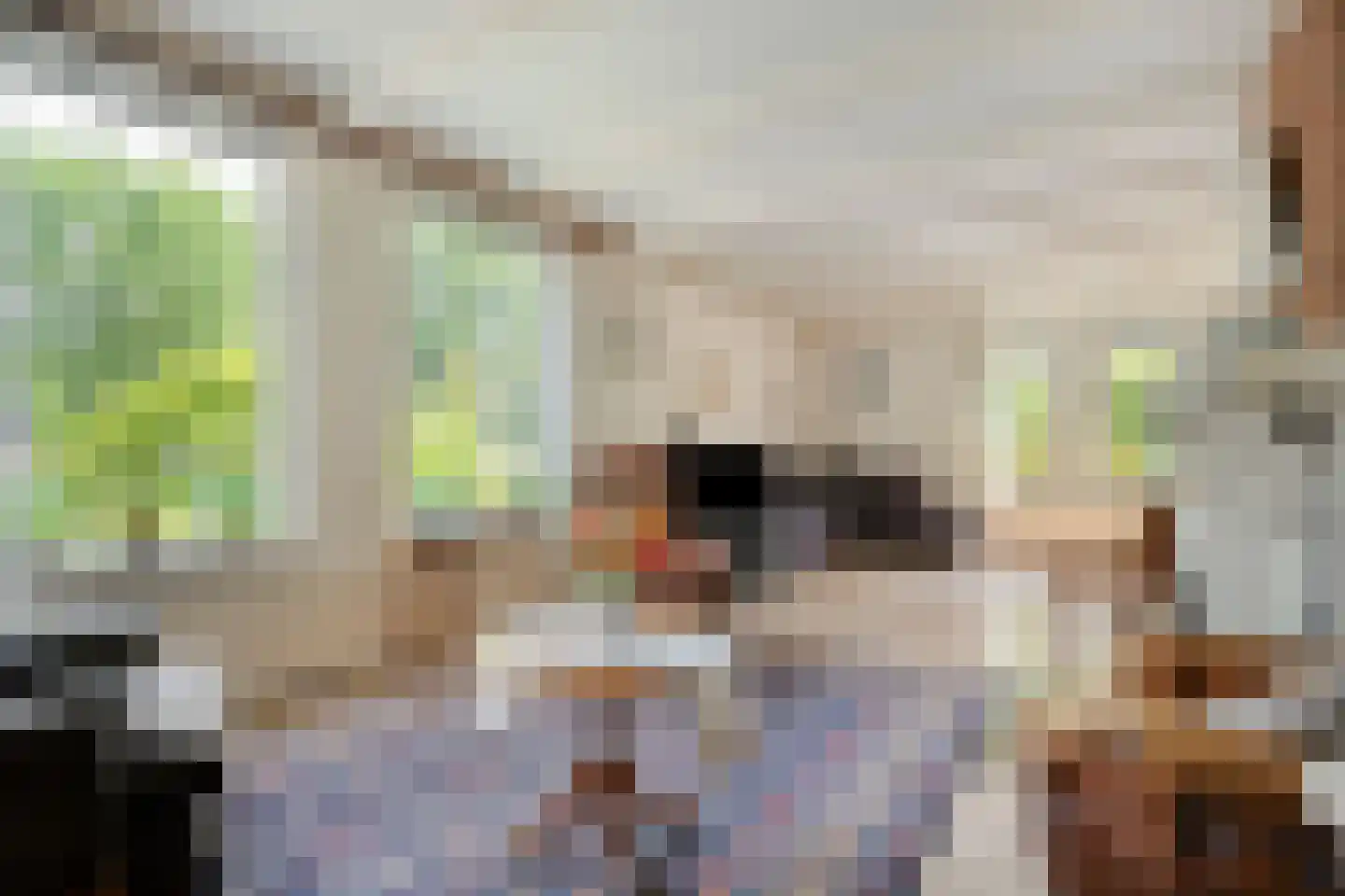 De Vos van Steenwijklaan 58 a Hoogeveen thumbnail 6