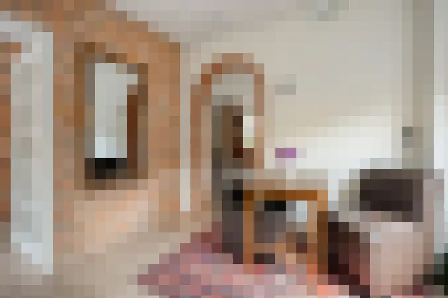 De Vos van Steenwijklaan 58 a Hoogeveen thumbnail 8