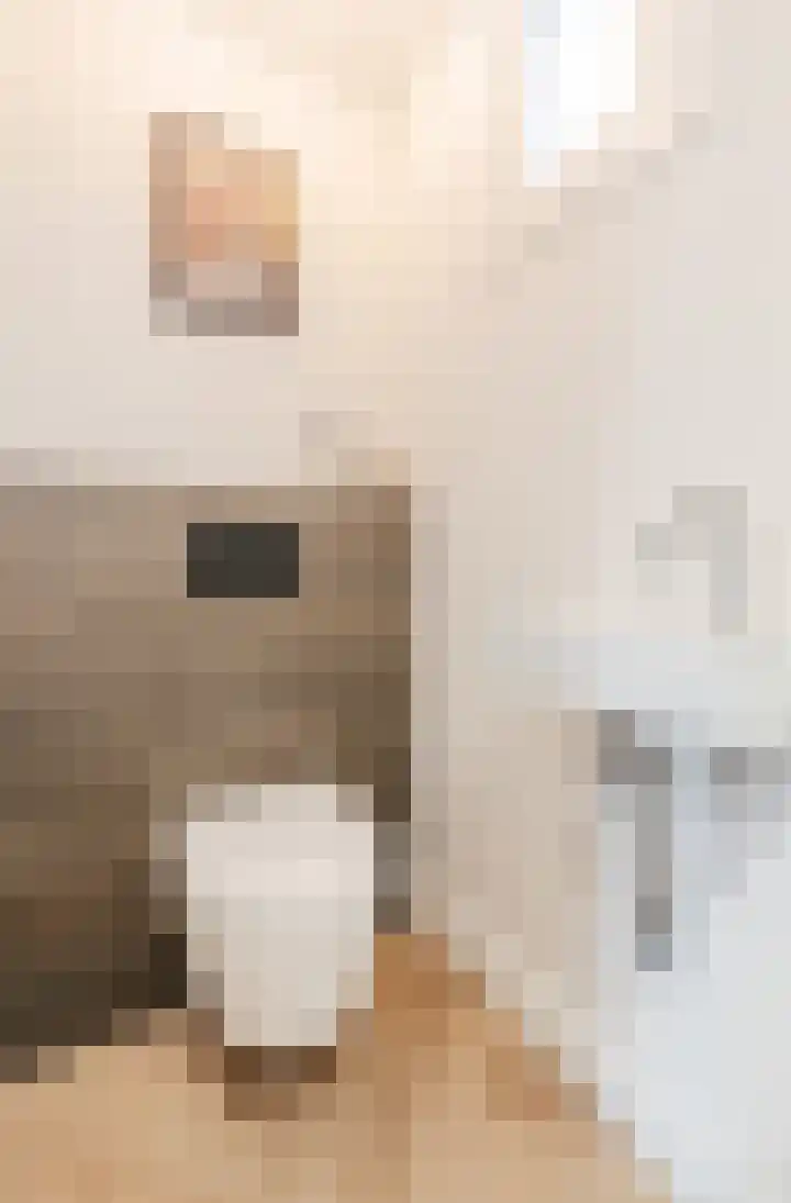 De Vos van Steenwijklaan 79 Hoogeveen thumbnail 13
