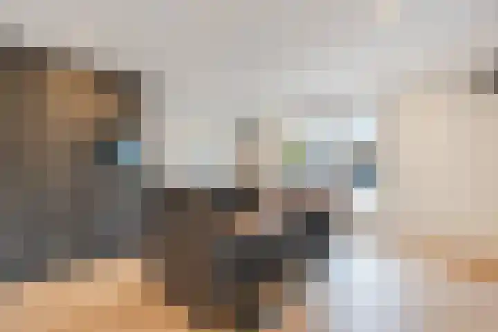 De Vos van Steenwijklaan 79 Hoogeveen thumbnail 22
