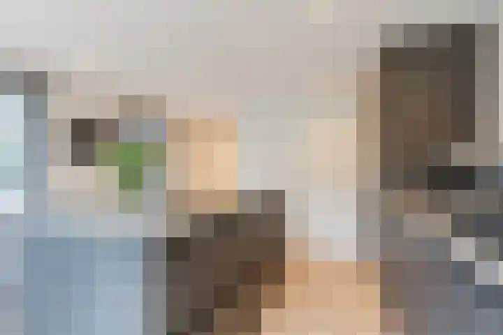 De Vos van Steenwijklaan 79 Hoogeveen thumbnail 24