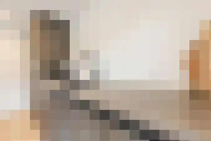 De Vos van Steenwijklaan 79 Hoogeveen thumbnail 25