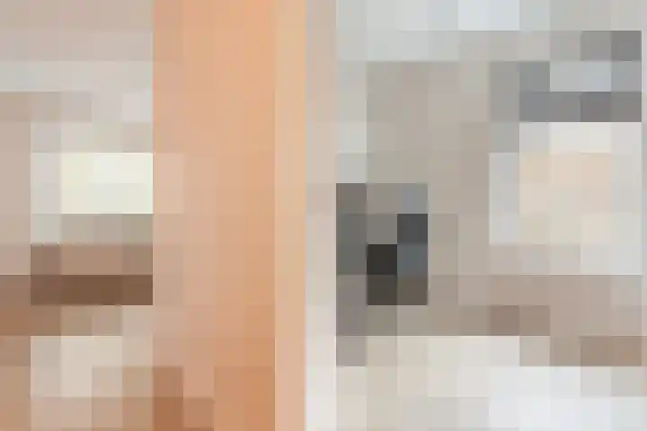 De Vos van Steenwijklaan 79 Hoogeveen thumbnail 30