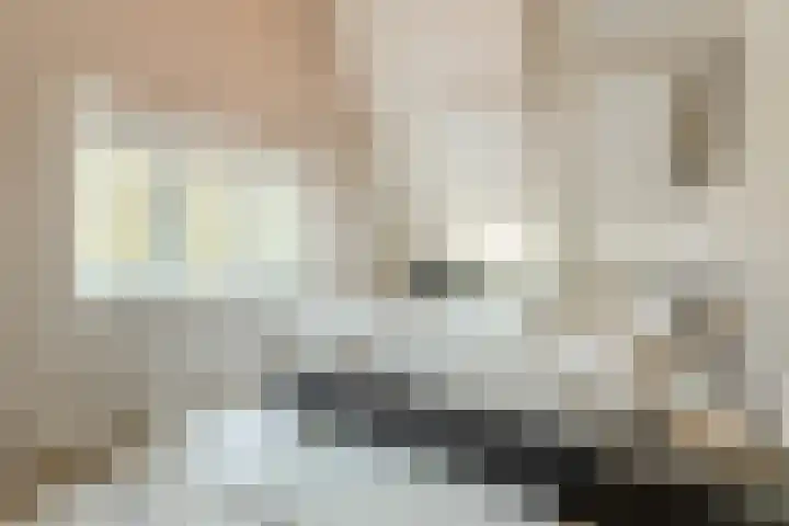 De Vos van Steenwijklaan 79 Hoogeveen thumbnail 32