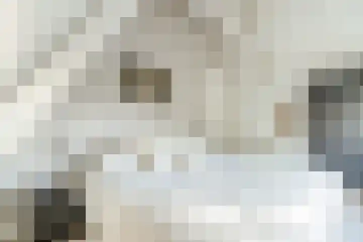 De Vos van Steenwijklaan 79 Hoogeveen thumbnail 34