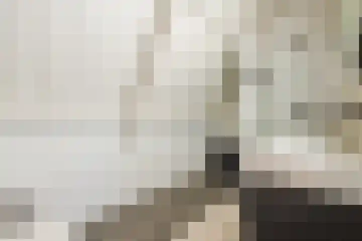 De Vos van Steenwijklaan 79 Hoogeveen thumbnail 38
