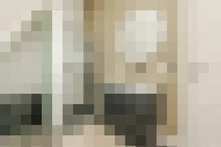 De Vos van Steenwijklaan 79 Hoogeveen thumbnail 39