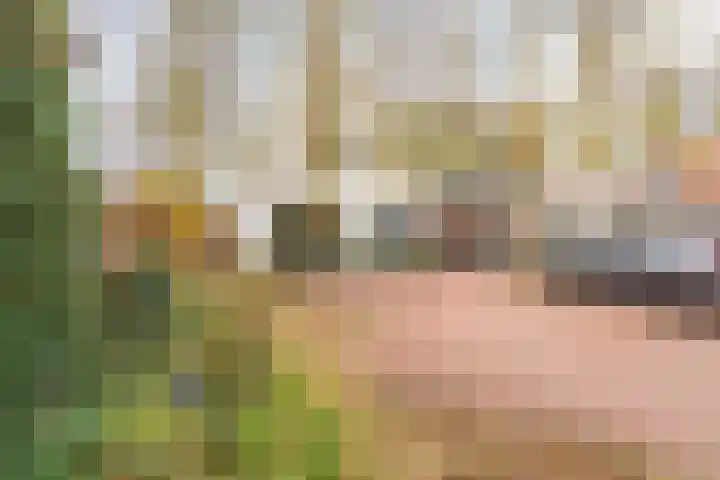 De Vos van Steenwijklaan 79 Hoogeveen thumbnail 4