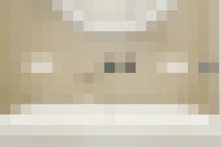 De Vos van Steenwijklaan 79 Hoogeveen thumbnail 41