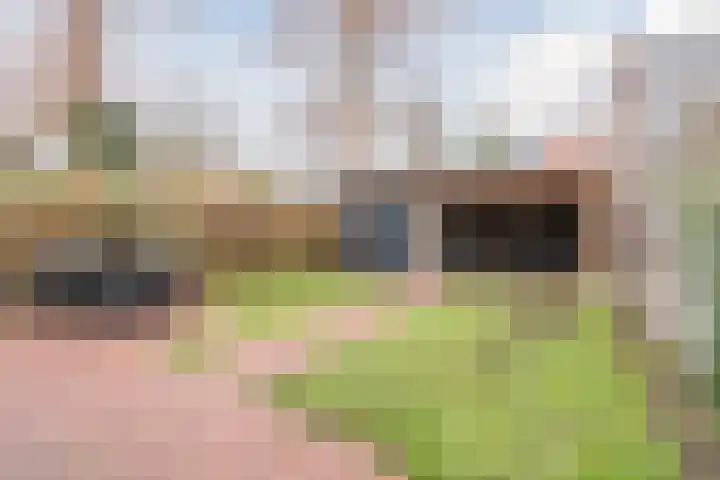 De Vos van Steenwijklaan 79 Hoogeveen thumbnail 47