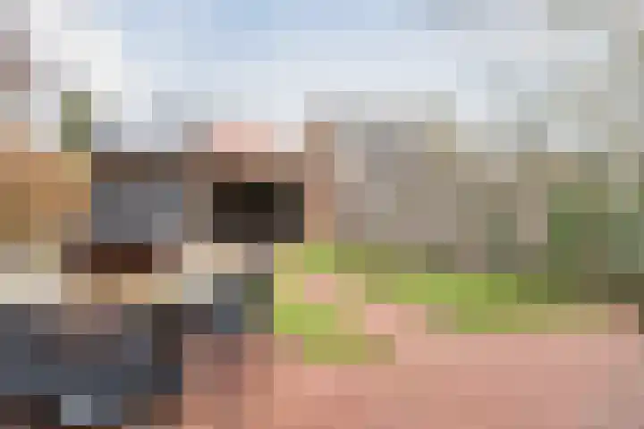 De Vos van Steenwijklaan 79 Hoogeveen thumbnail 48