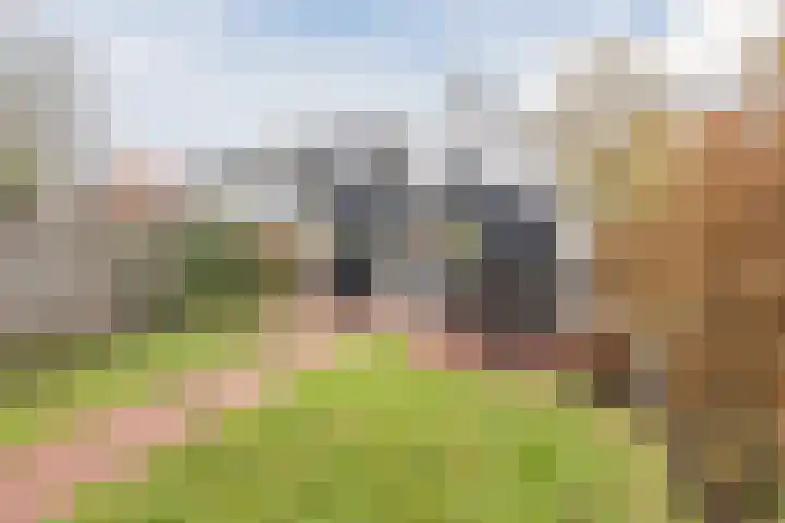 De Vos van Steenwijklaan 79 Hoogeveen thumbnail 51