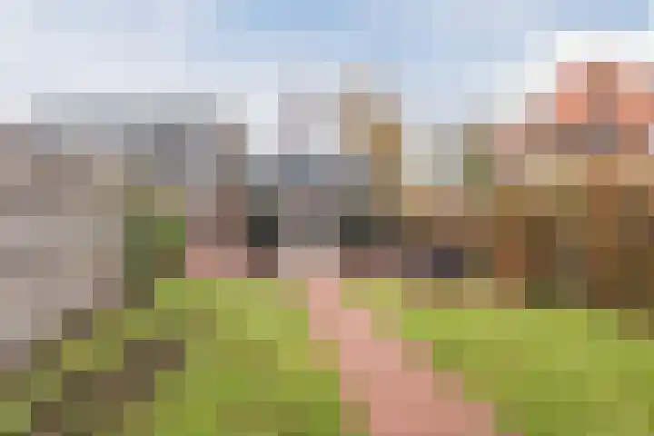 De Vos van Steenwijklaan 79 Hoogeveen thumbnail 52