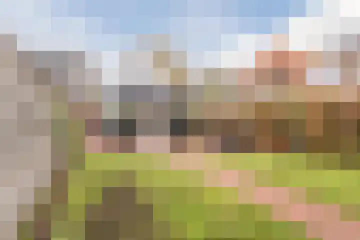 De Vos van Steenwijklaan 79 Hoogeveen thumbnail 53