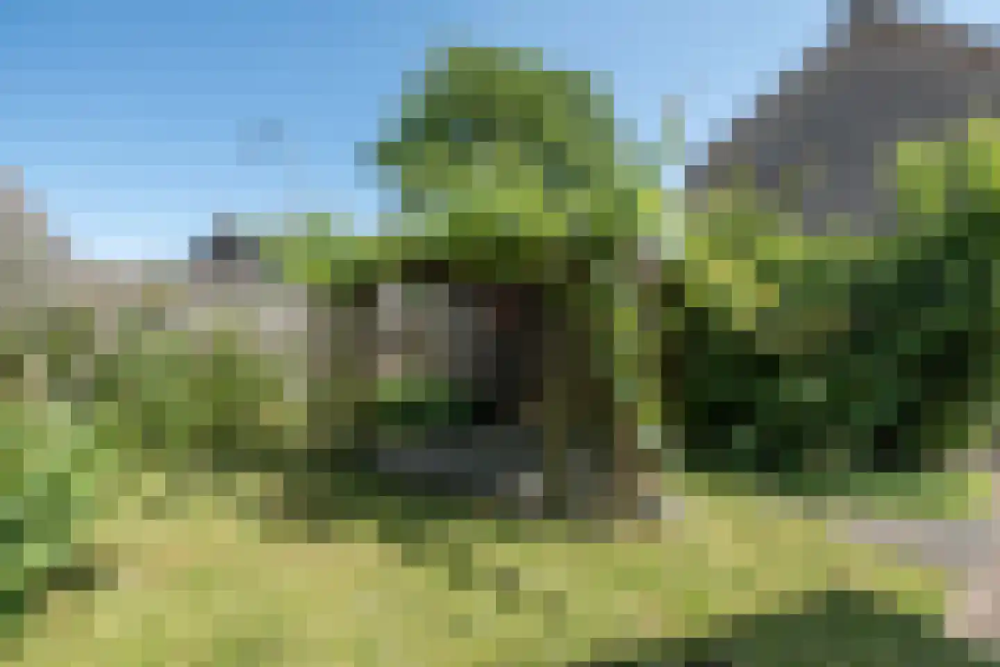De Vos van Steenwijkstraat 26 B Beilen thumbnail 31