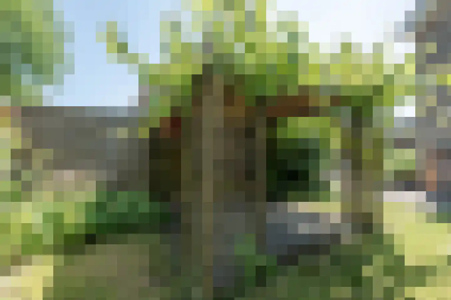 De Vos van Steenwijkstraat 26 B Beilen thumbnail 32