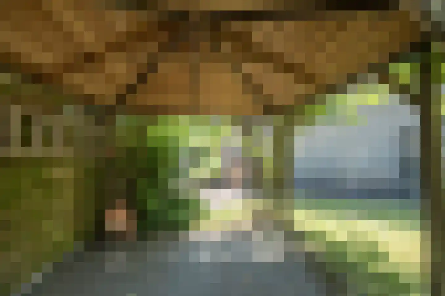 De Vos van Steenwijkstraat 26 B Beilen thumbnail 33