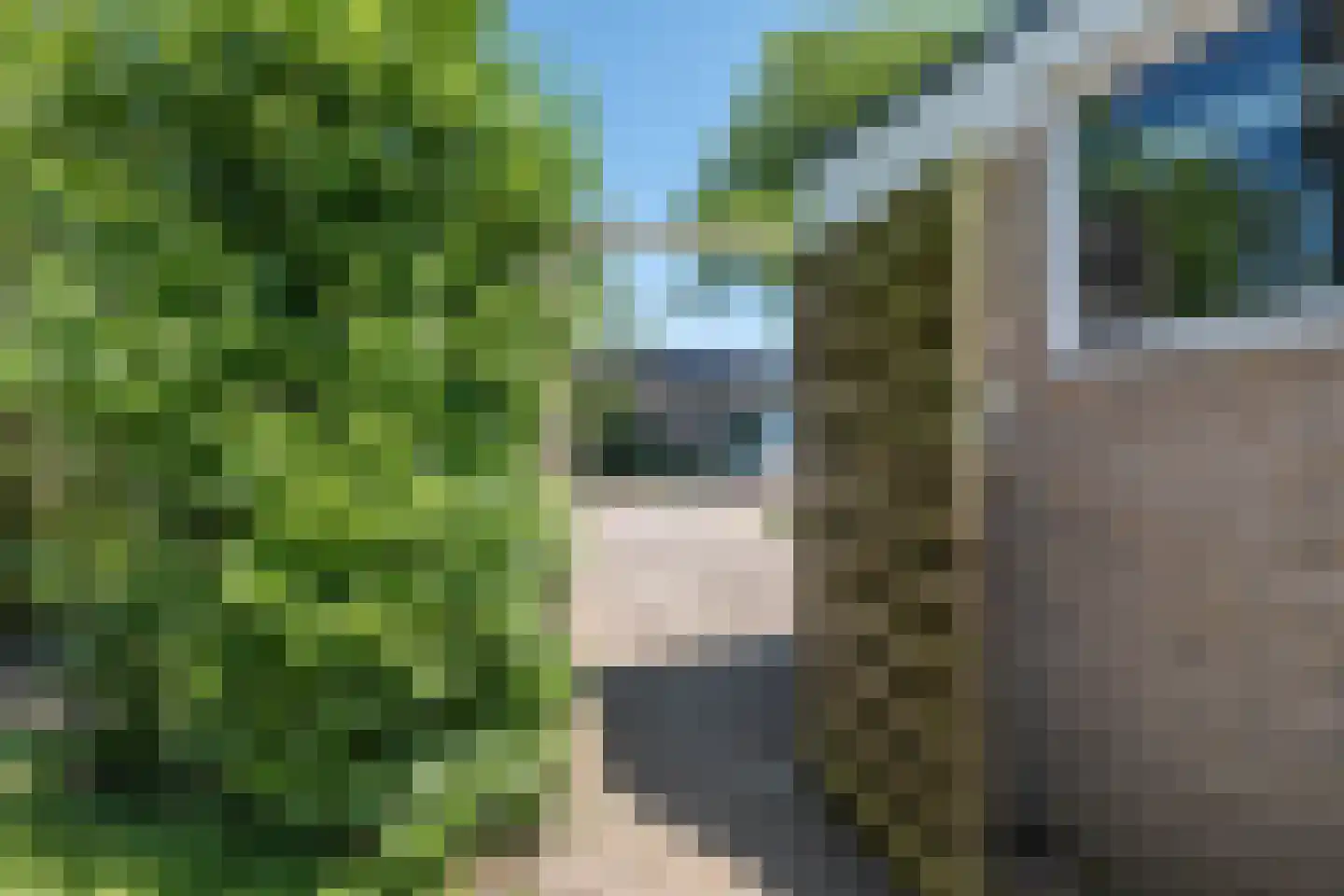 De Vos van Steenwijkstraat 26 B Beilen thumbnail 34