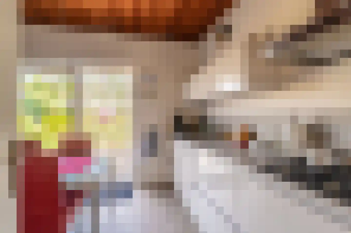 de Vosholen 33 Sappemeer thumbnail 11