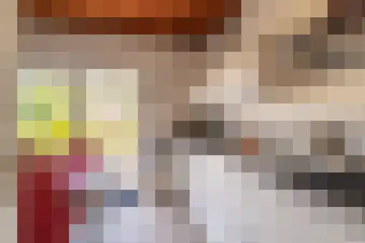 de Vosholen 33 Sappemeer thumbnail 11