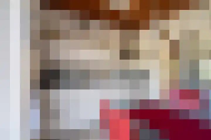 de Vosholen 33 Sappemeer thumbnail 12