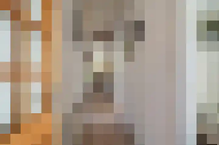 de Vosholen 33 Sappemeer thumbnail 13