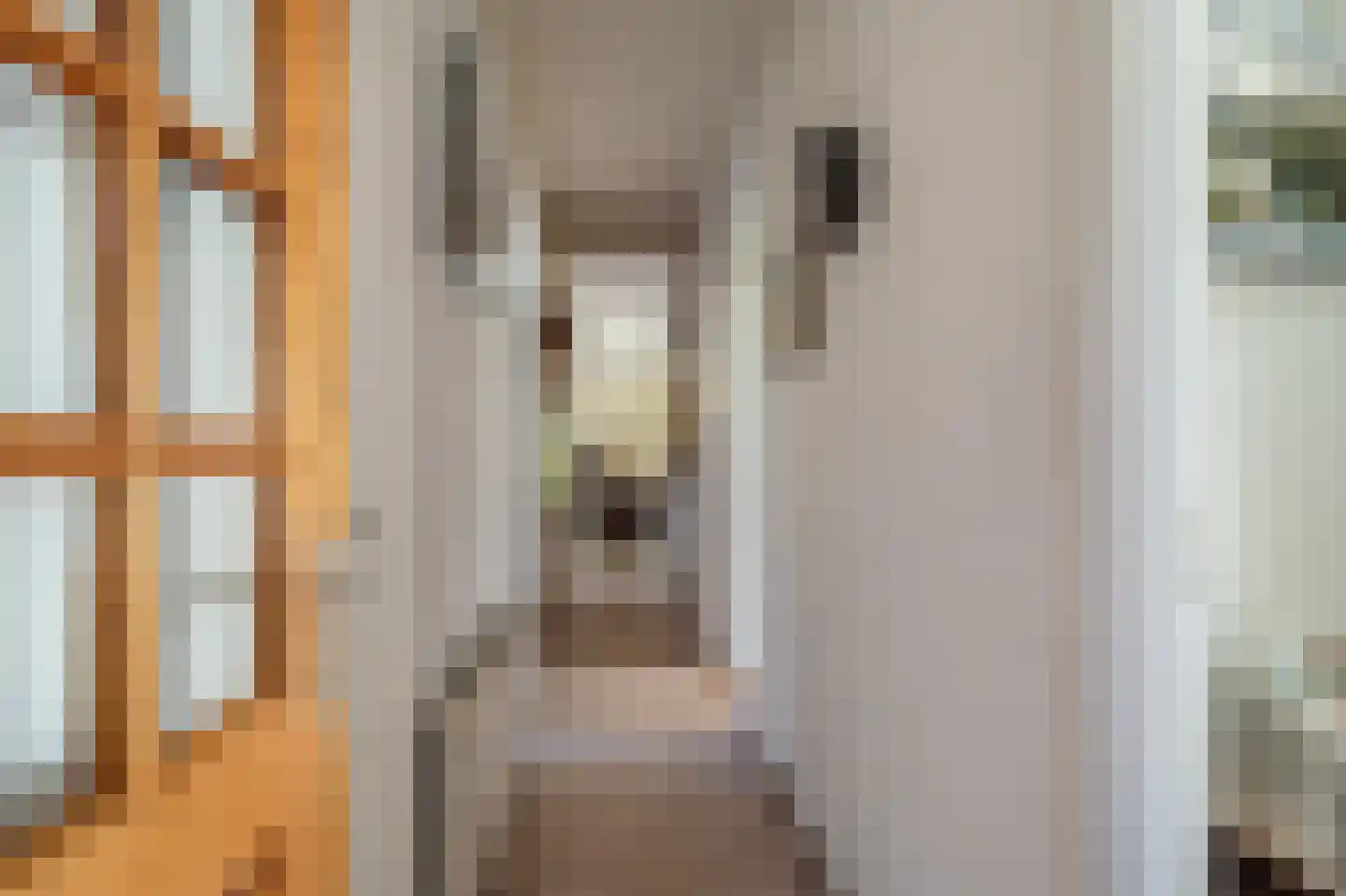 de Vosholen 33 Sappemeer thumbnail 13