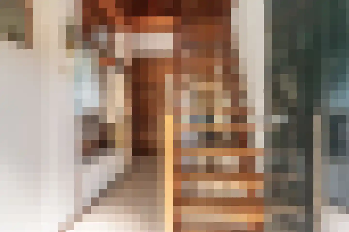 de Vosholen 33 Sappemeer thumbnail 22