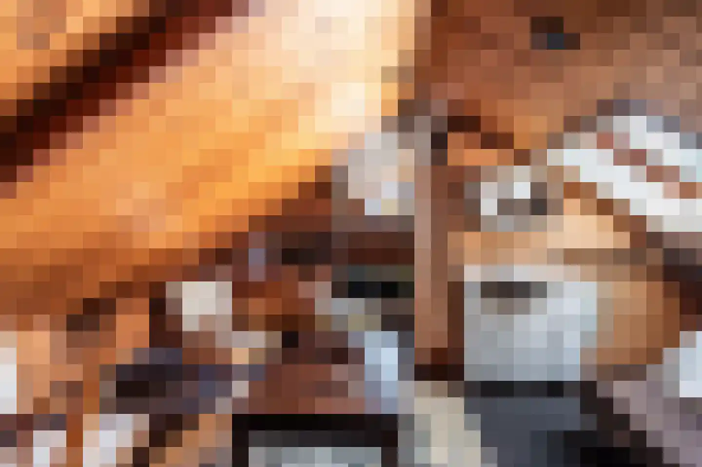 de Vosholen 33 Sappemeer thumbnail 23