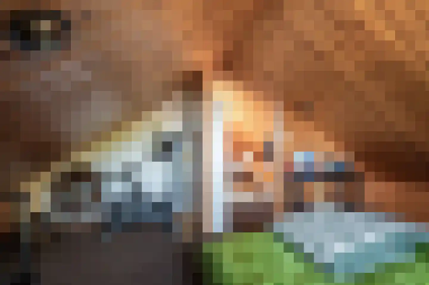 de Vosholen 33 Sappemeer thumbnail 26