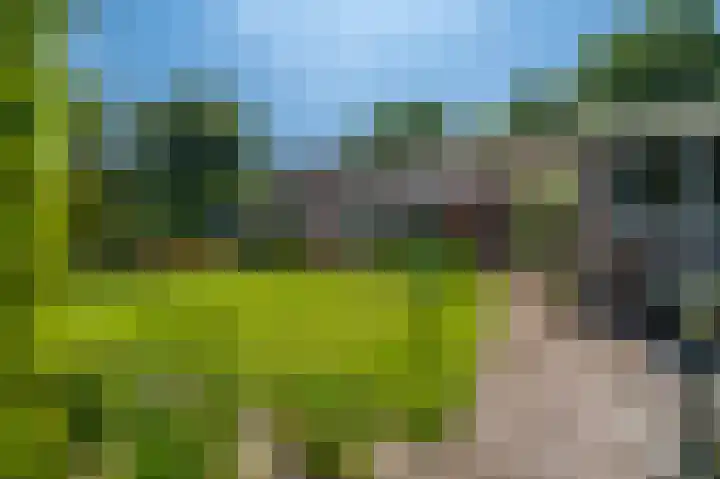 de Vosholen 33 Sappemeer thumbnail 31