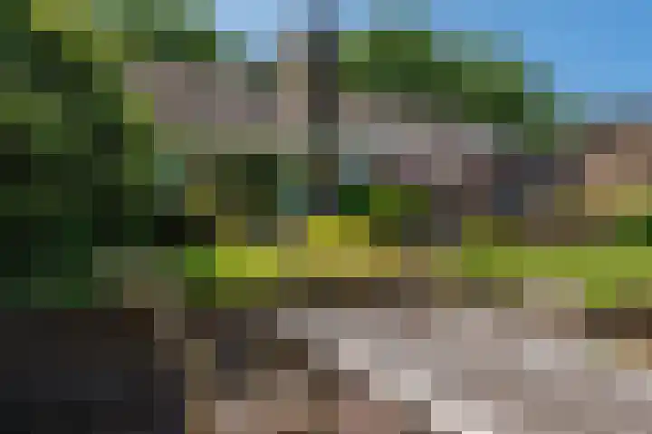 de Vosholen 33 Sappemeer thumbnail 32