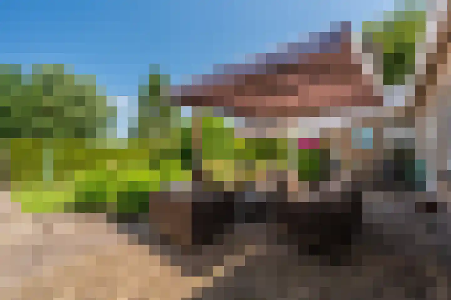 de Vosholen 33 Sappemeer thumbnail 33