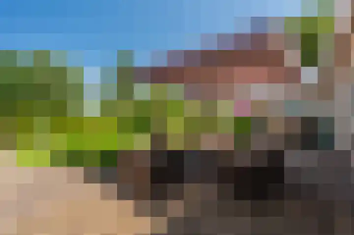 de Vosholen 33 Sappemeer thumbnail 33